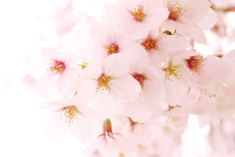 oNWɊ֘ARecɂ